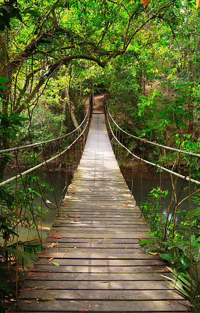 istock Bridge to the jungle 134829275