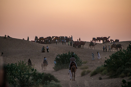 Tourists and travelers arrived on the dunes of the Thar Desert, along the ancient caravan route of the Silk Road, to admire the sunset.