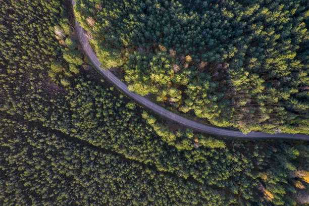 istock Drone view of road and forest in golden time 1348294714