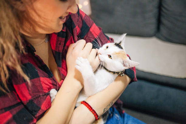 istock happy  woman with a cat at home 1348297324