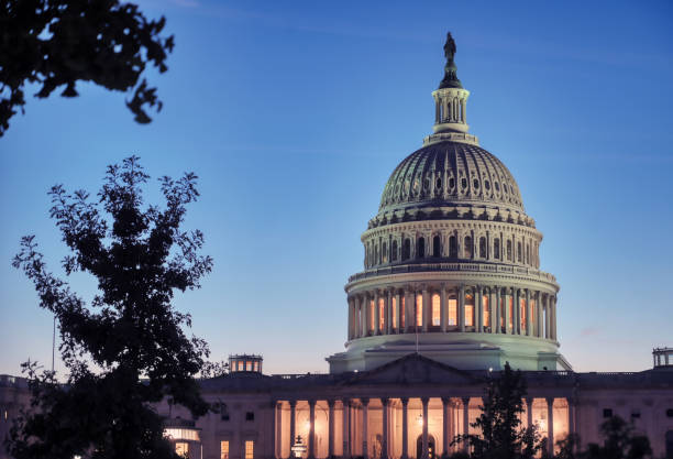 istock The United States Capitol in Washington, D.C. 1348298081