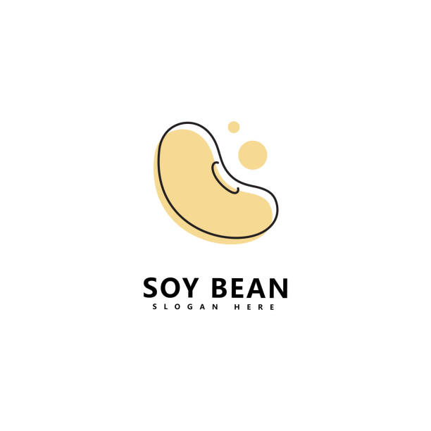 ilustrações de stock, clip art, desenhos animados e ícones de soy bean logo healthy food vector design - soybean isolated seed white background