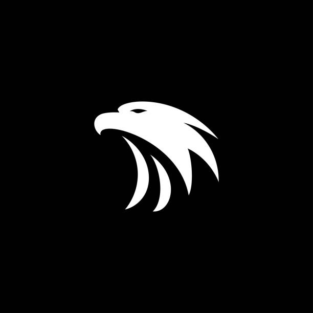 eagle logo icon design  falcon head vector - eagles 幅插畫檔、美工圖案、卡通及圖標