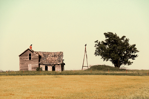 an old deserted farm farmhouse dry field haunted retro sepia photograph historic holiday landscape background