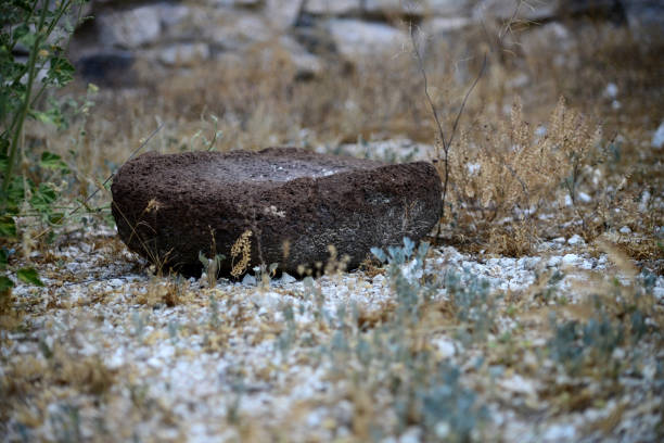 Metate or metlatl grinding stone used by native americans to grind food.