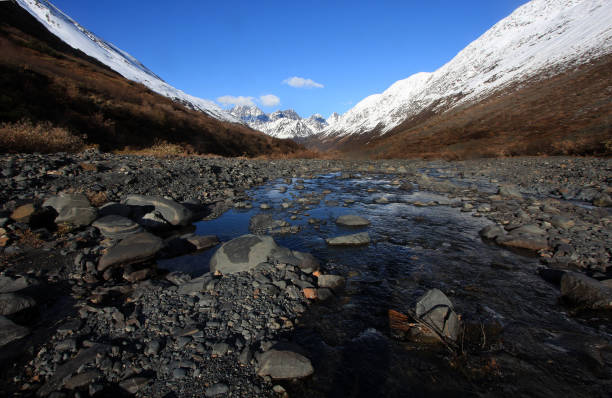 trilha crow pass girdwood alaska - girdwood - fotografias e filmes do acervo