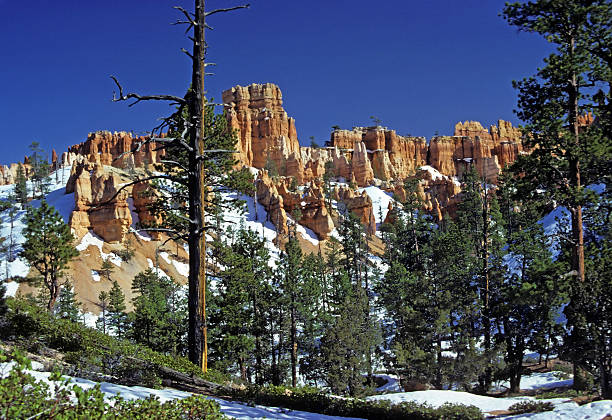 레드 락스 봄 인공눈 - red rocks rock canyon escarpment 뉴스 사진 이미지