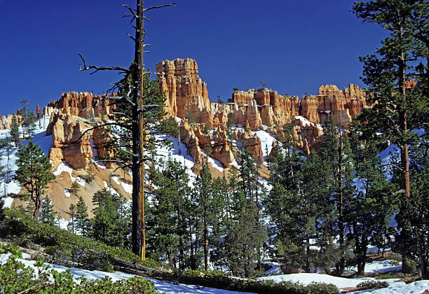 red rocks na primavera de neve - red rocks rock canyon escarpment imagens e fotografias de stock