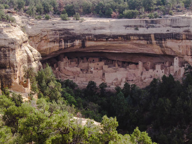 Mesa Verde, Colorado. Cliff Palace is the largest cliff dwelling  in Mesa Verde National Park in Montezuma County, Colorado. anasazi stock pictures, royalty-free photos & images