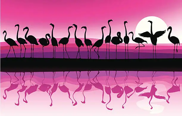Vector illustration of Flamingo Background