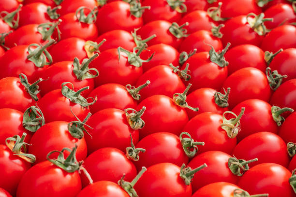 istock Background image of lying rows of red ripe cherry tomatoes. Top view. Flat lay, copy space 1348314256