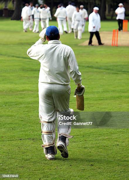 Cricket Bateador Salir Al Campo Foto de stock y más banco de imágenes de Batear - Batear, Críquet, Espinillera