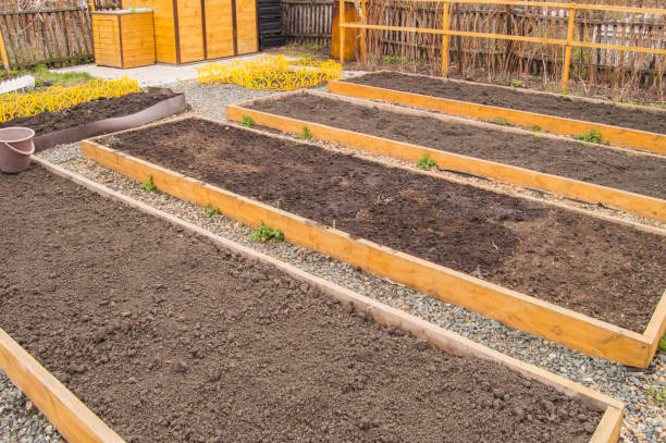 istock Newly built raised vegetable beds, empty beds with prepared soil in the garden in spring 1348318810