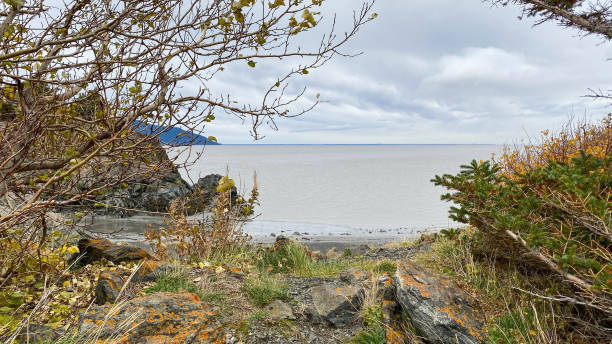 istock Beluga Lookout Point - Seward Highway, Alaska 1348324604