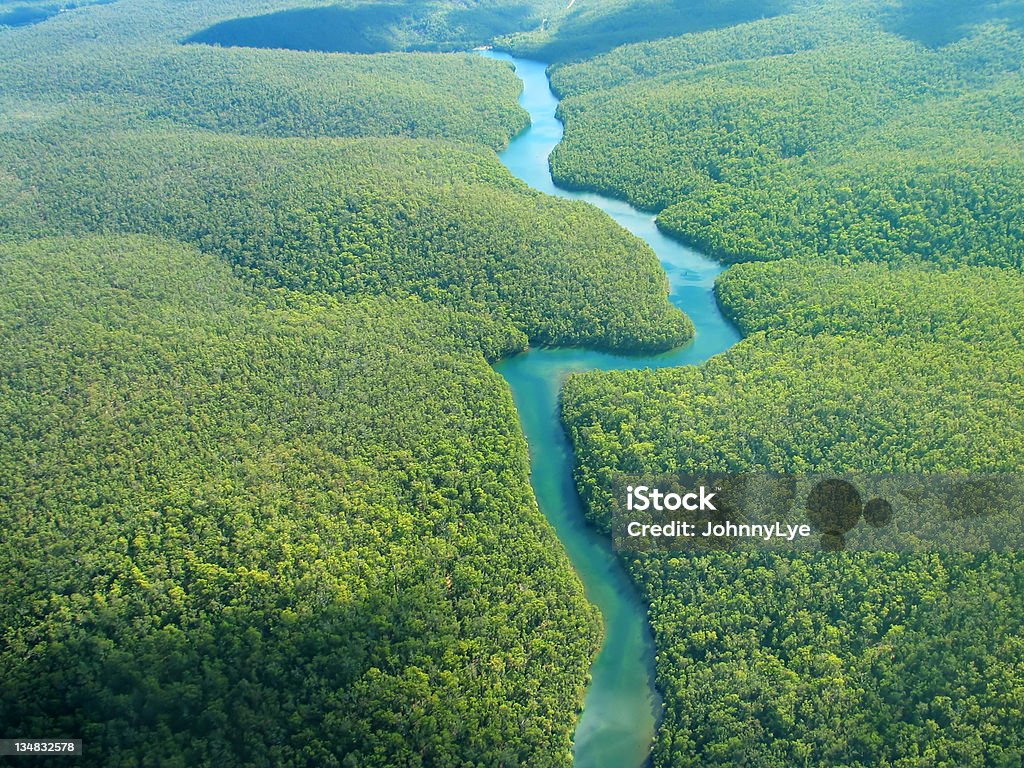 공중 포토서제스트 - 로열티 프리 아마존 강 스톡 사진