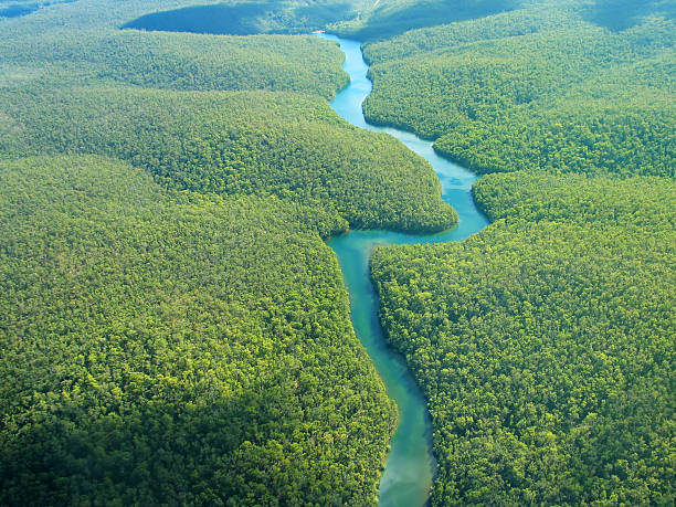 Aerial Photo Aerial Photography - The River amazon river stock pictures, royalty-free photos & images