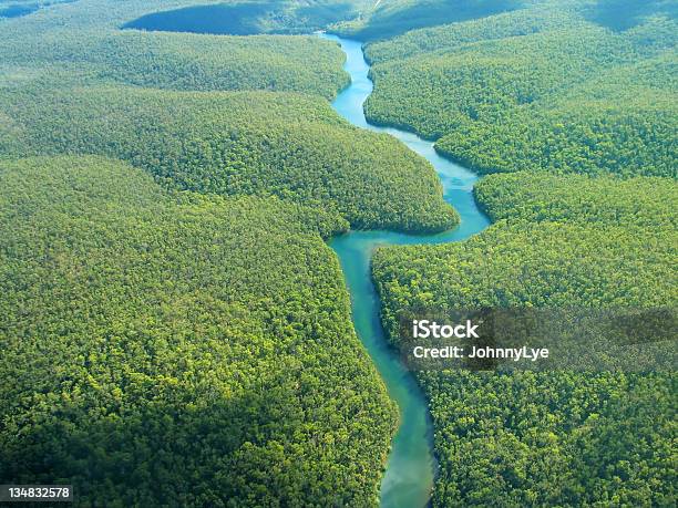 Aerial Photo Stock Photo - Download Image Now - Amazon Region, Amazon River, Amazon Rainforest