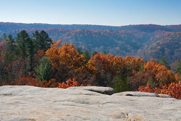 big south fork - cumberland plateau - fotografias e filmes do acervo