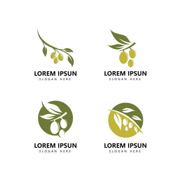 ilustraciones, imágenes clip art, dibujos animados e iconos de stock de icono de logotipo de oliva y vector de plantilla de logotipo de aceite de oliva - aceite de oliva