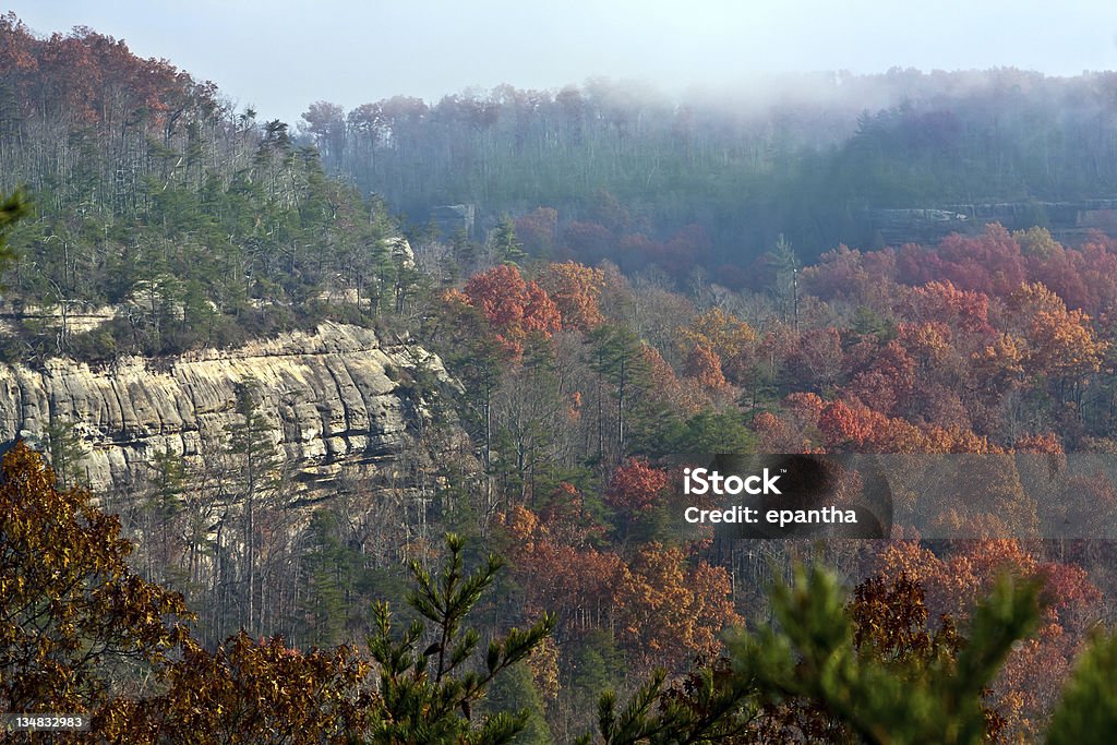 Paysage d'automne - Photo de Kentucky libre de droits