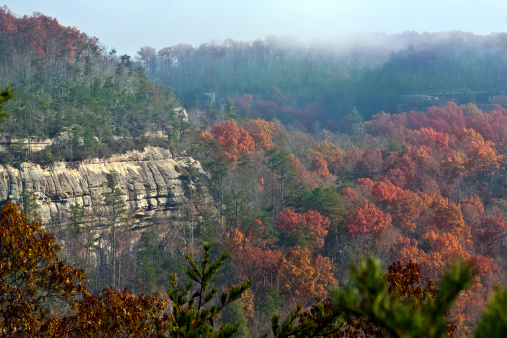 View of Big South Fork National Park from an overlook