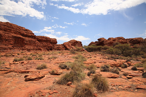 Landscape of kings canyon in outback, red centre of Australia