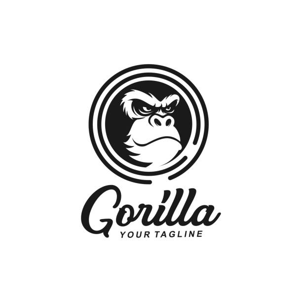 ilustrações, clipart, desenhos animados e ícones de conceito de ideia de inspiração de modelo de logotipo gorila - gorila