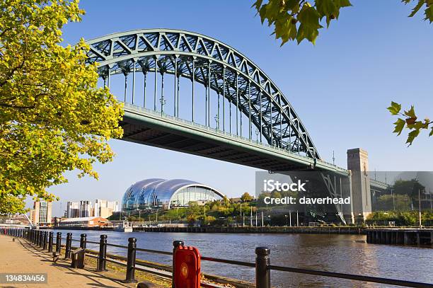 Tyne Bridge Framed With Leaves Stock Photo - Download Image Now - Tyne Bridge, Arch - Architectural Feature, Architecture