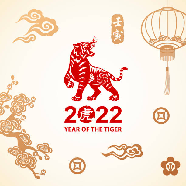 Year of the Tiger Celebration Celebrate the Year of the Tiger 2022 with red papercutting tiger on the background of gold colored Chinese stamp, cloud, lantern, flowers and money sign, the vertical Chinese phrase means year of the ox according to lunar calendar tiger stock illustrations