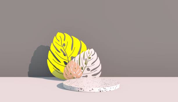istock Mockup, podium, display with monstera leaves tropical plant background, 3d render 1348350159