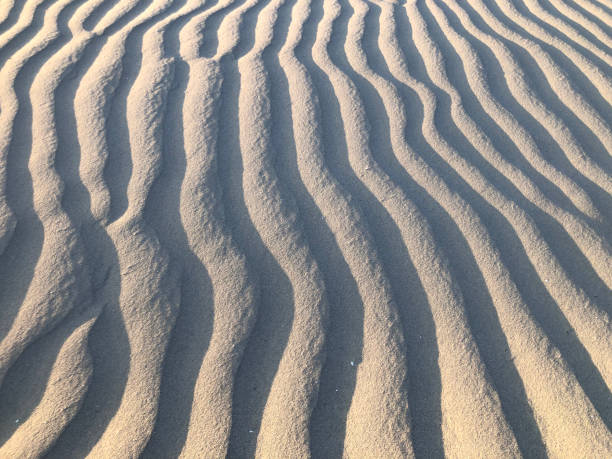istock Natural background: Rippled sand in early morning light beach 1348351177