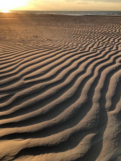 istock Natural background: Rippled sand in early morning light beach 1348351723