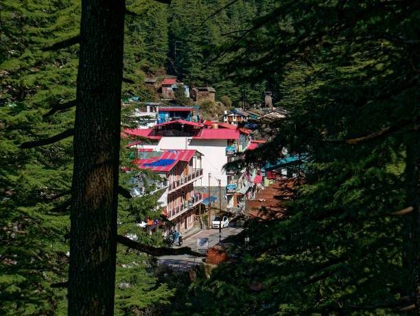 istock View of a Jageshwar holy village through trees 1348352856