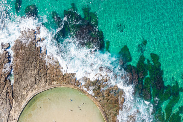 Newcastle Canoe Pool - top down aerial view Newcastle NSW Australia Aerial topdown view of Newcastle's "canoe pool" which is a popular local landmark in the ocean side city - NSW Australia newcastle australia stock pictures, royalty-free photos & images