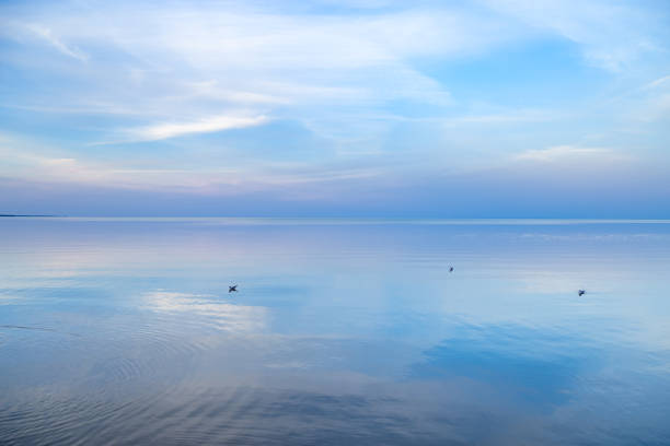istock Sky background on sunset, colorful clouds. Nature abstract composition with reflections on sea water. Nature environment. 1348355349