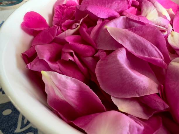 istock Pink Rose Petals in a White Bowl 1348357661