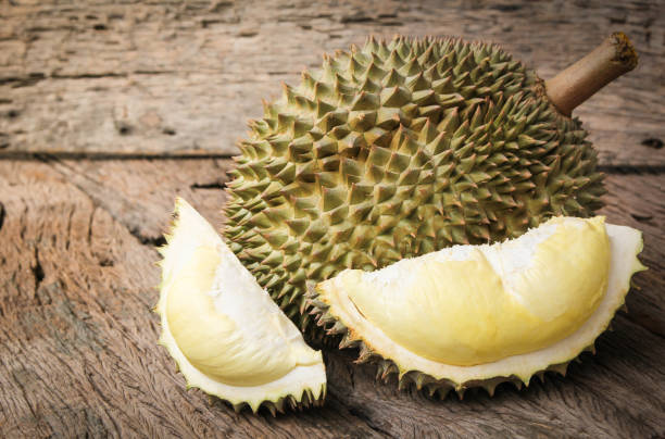 Durian riped and fresh Durian riped and fresh, Durian peel with yellow color on old wood background. king of fruit from Thailand on summer season. pics of a spiky fruit stock pictures, royalty-free photos & images