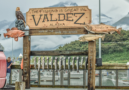 September3, 2021, Valdez, Alaska. Silver salmon hang on the hooks after a successful day of fishing. Many come to this area during the Summer months in hopes of catching the famous salmon of Alaska.