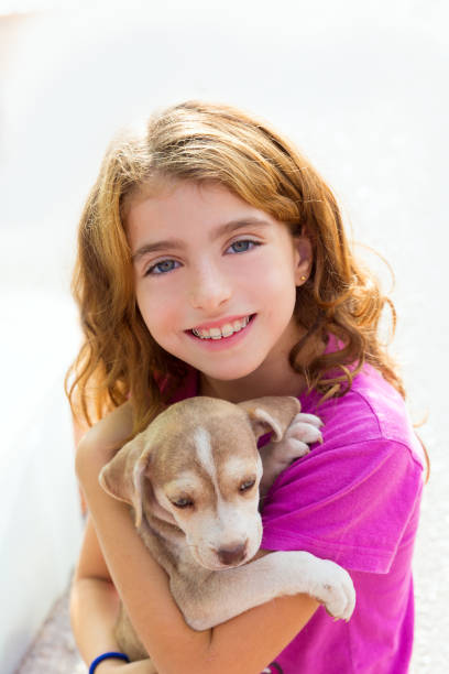 Why Do Dogs Have Braces why-do-dogs-have-braces