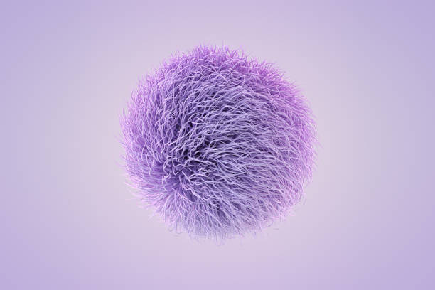Abstract Fluffy Hairy Ball 3d rendering of Abstract Fluffy Hairy Ball. hair on pillow stock pictures, royalty-free photos & images