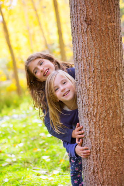 autumn sister kid girls playing in forest trunk outdoor - preschooler autumn beautiful blond hair imagens e fotografias de stock