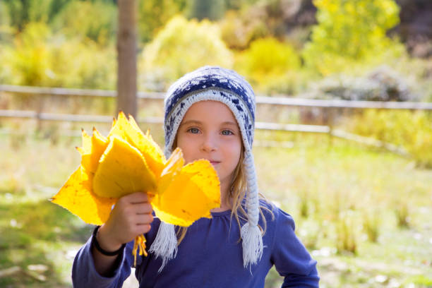 child girl in autumn poplar forest yellow fall leaves in hand - preschooler autumn beautiful blond hair imagens e fotografias de stock