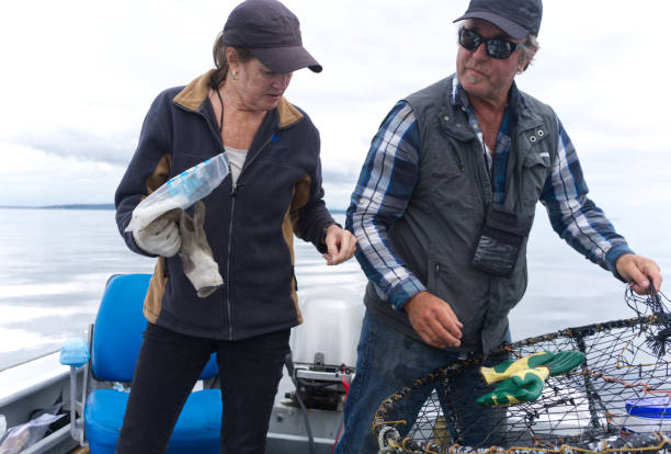 istock Crab fishing 1348369645