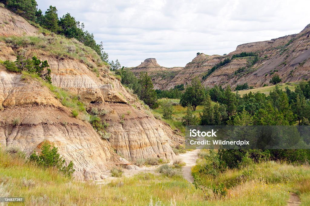 Sentiero nel Badlands - Foto stock royalty-free di Parco Nazionale Theodore Roosevelt