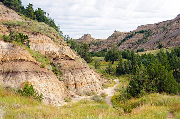 Trail into the Badlands Wilderness trail in Theodore Roosevelt National Park theodore roosevelt national park stock pictures, royalty-free photos & images