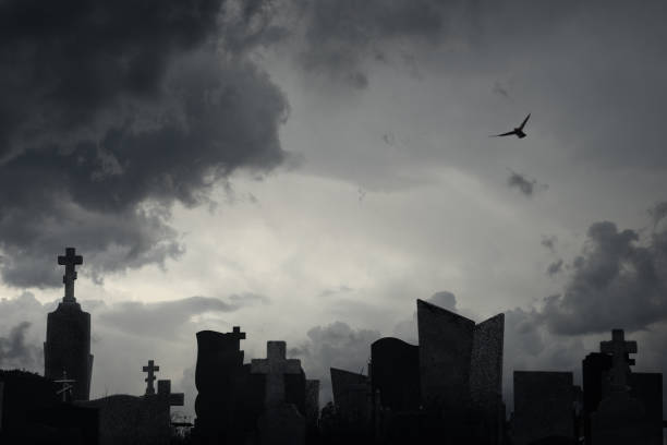 This black and white photograph captures a serene moment in time. Two birds perch atop a rooftop, silhouetted against a dramatic sky filled with swirling clouds. The image evokes a sense of peace and tranquility, as the birds seem to contemplate the vastness of the sky. The monochrome palette adds to the image's timeless quality, emphasizing the interplay of light and shadow. This photograph is a perfect example of how simplicity can be beautiful, and how black and white photography can reveal the hidden beauty of nature.