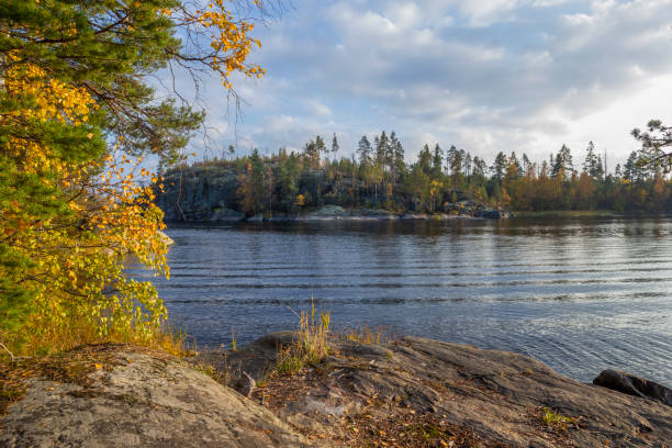 istock Golden Autumn Lake Landscape View Yellow Background Fall Pine Forest Backdrop 1348378953