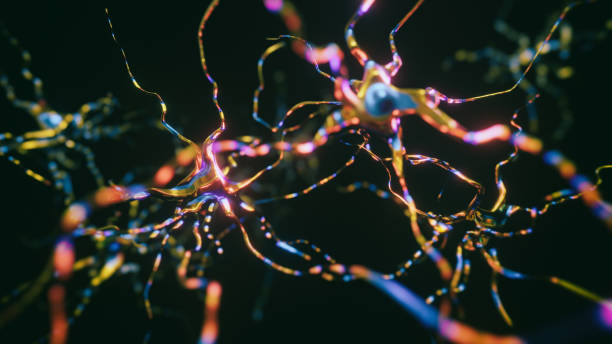 Neurons Cells System - 3d rendered image of Interconnected Neurons with electrical pulses.  Conceptual medical animation.  Healthcare concept. SEM [TEM] hologram view. Glowing neurons signals.