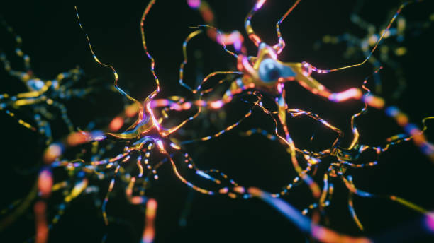 Neurons Cells System Neurons Cells System - 3d rendered image of Interconnected Neurons with electrical pulses.  Conceptual medical animation.  Healthcare concept. SEM [TEM] hologram view. Glowing neurons signals. sensory impulse stock pictures, royalty-free photos & images