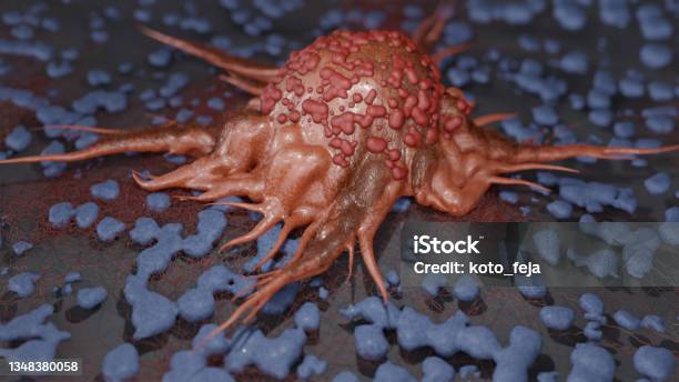 Cancer Cells Stok Fotoğraflar & Taramalı Elektron Mikrografı‘nin Daha Fazla Resimleri - Taramalı Elektron Mikrografı, Anatomi, Arka planlar